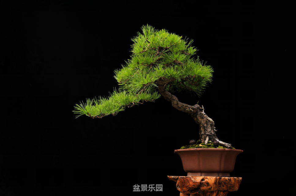 QQͼƬ20160729212303.png