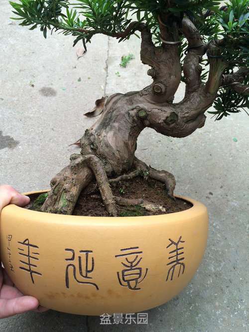 ϸͼչʾ