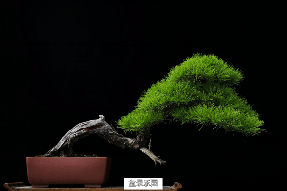 QQͼƬ20160730224336.png