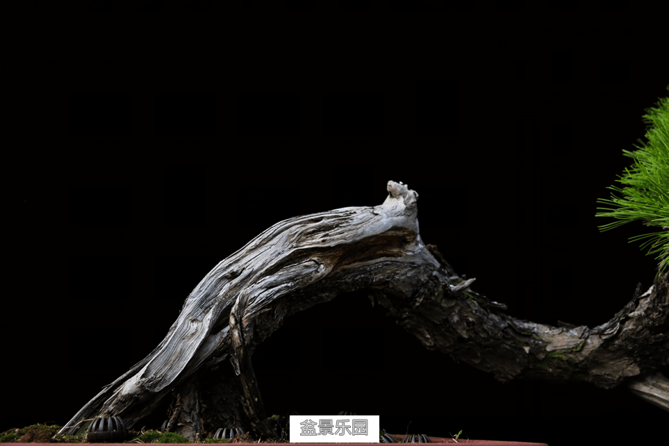 QQͼƬ20160730224511.png
