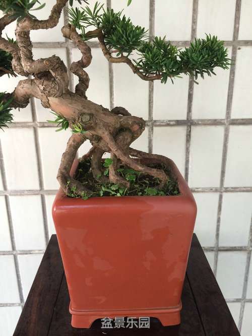 ϸչʾͼ
