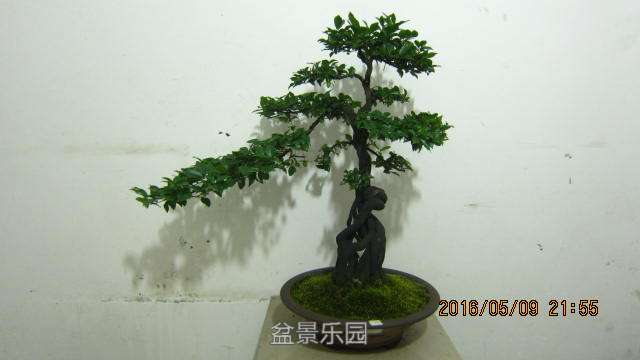 IMG_6493.jpg