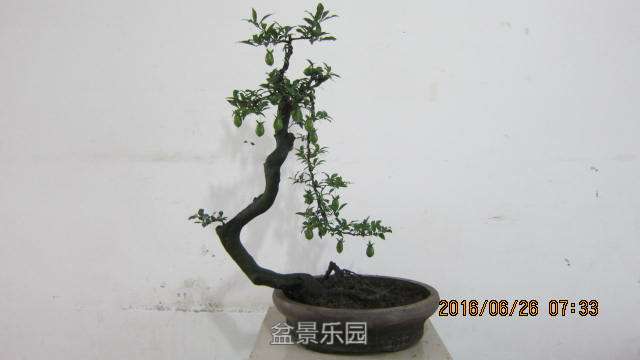 IMG_6865.jpg
