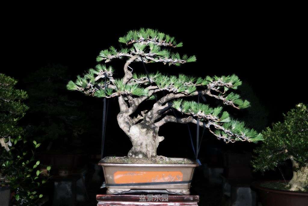 78.jpg