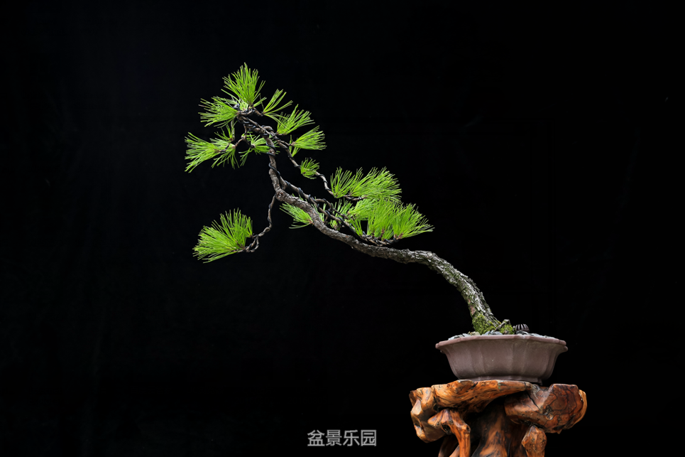 QQͼƬ20160807205029.png