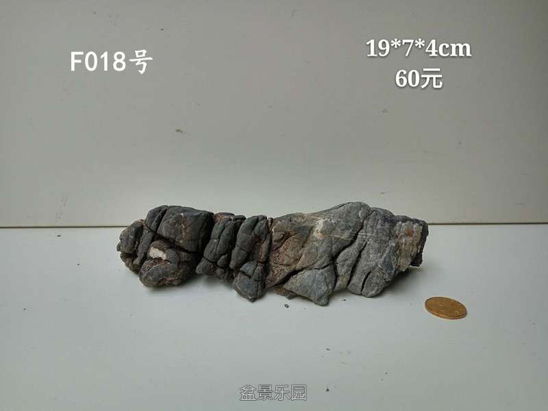f018.jpg