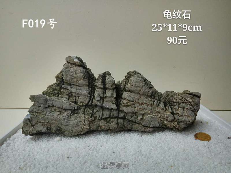 f019.jpg