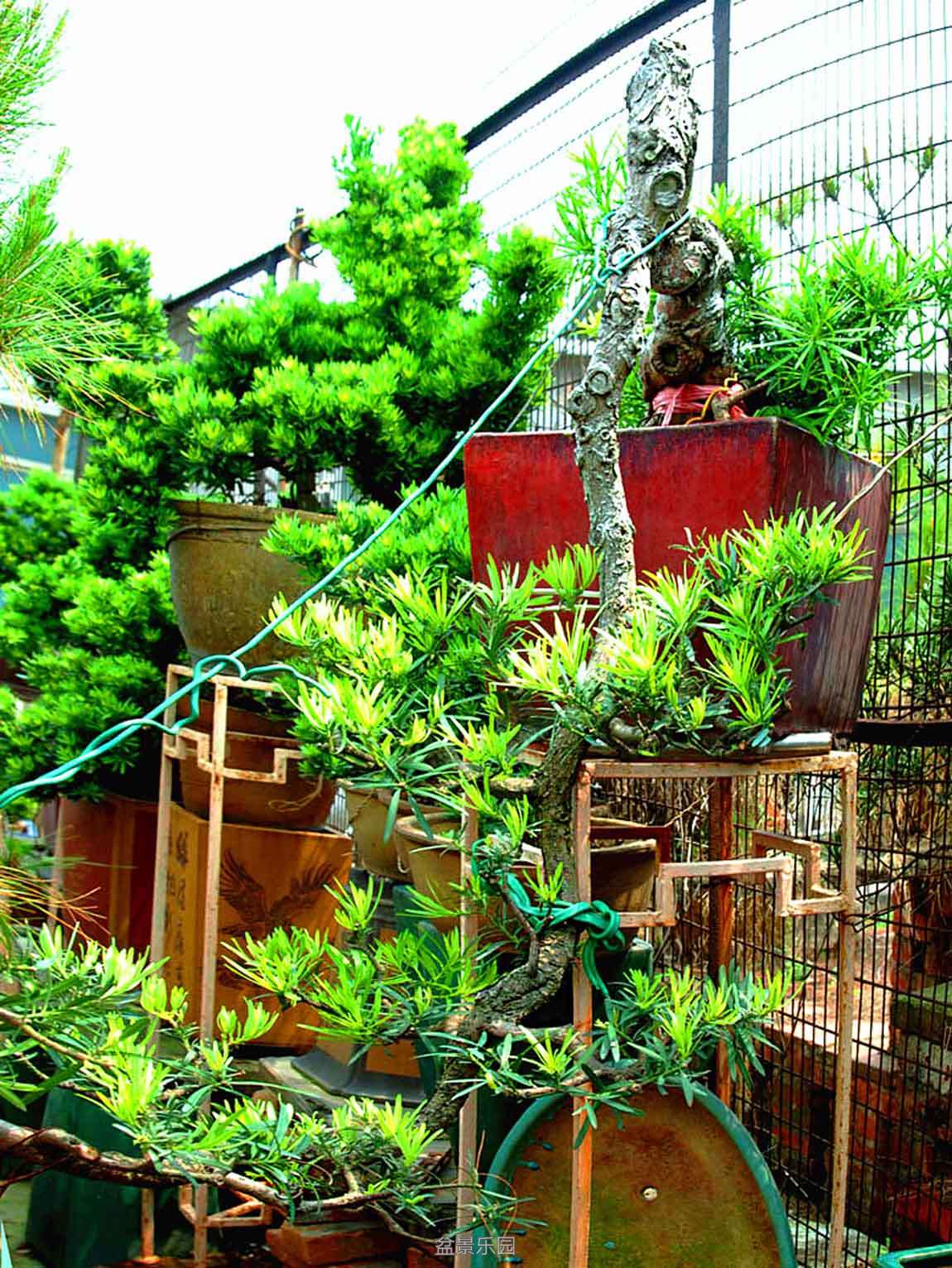 DSC_2605.jpg
