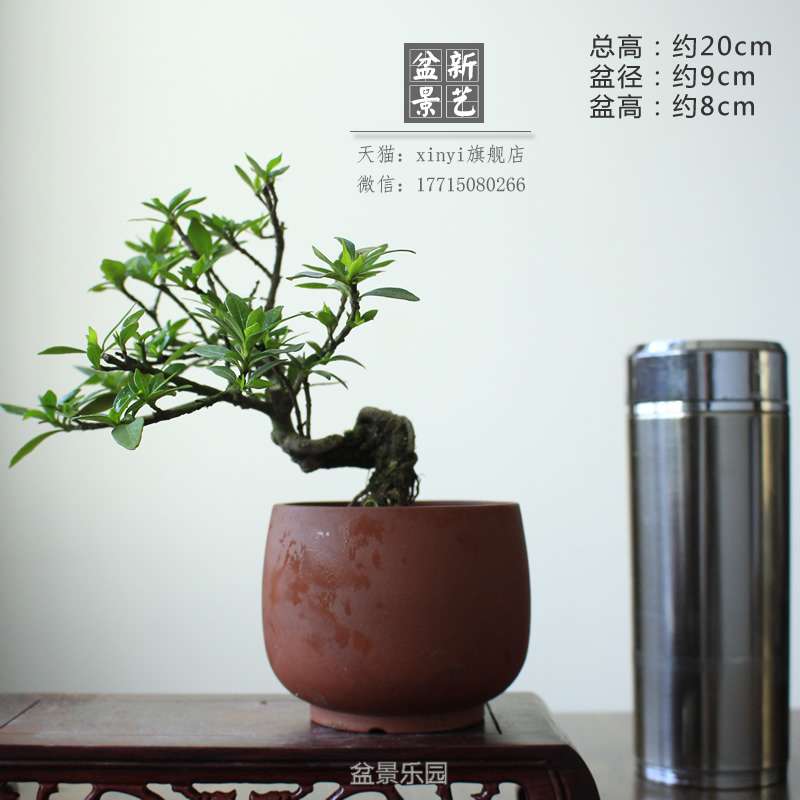 zzh086.JPG