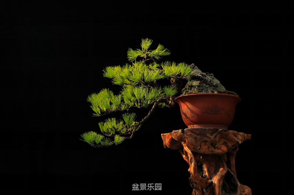 QQͼƬ20160813200824.png