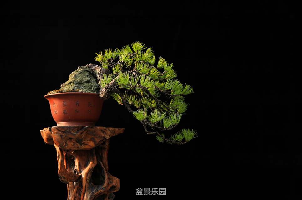 QQͼƬ20160813200836.png