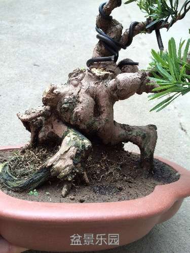 image.jpeg