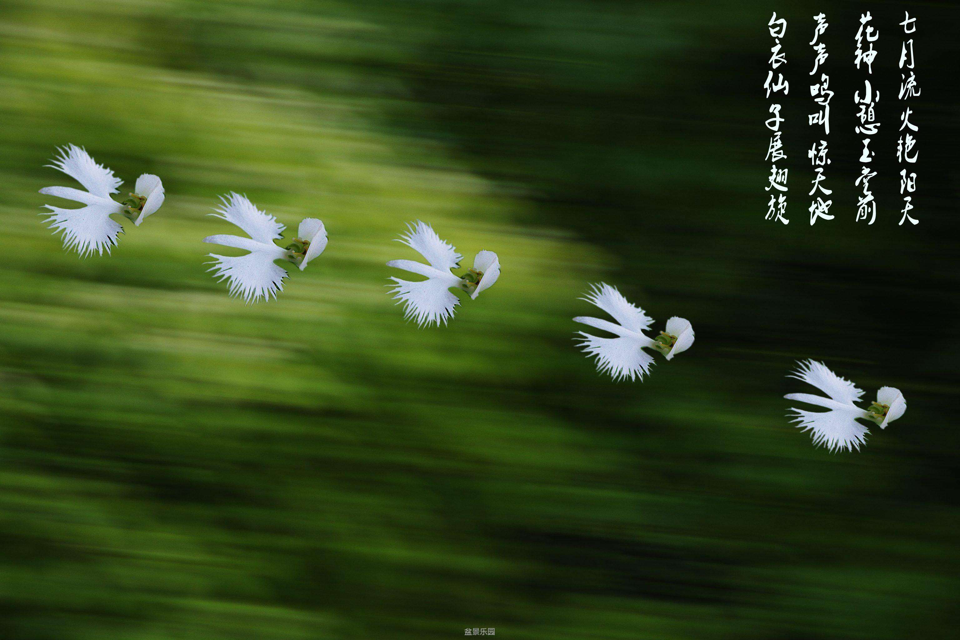 IMGP2682_conew4.jpg