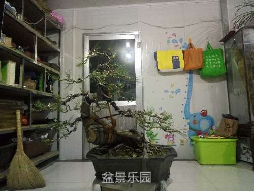IMG20160822210343.jpg