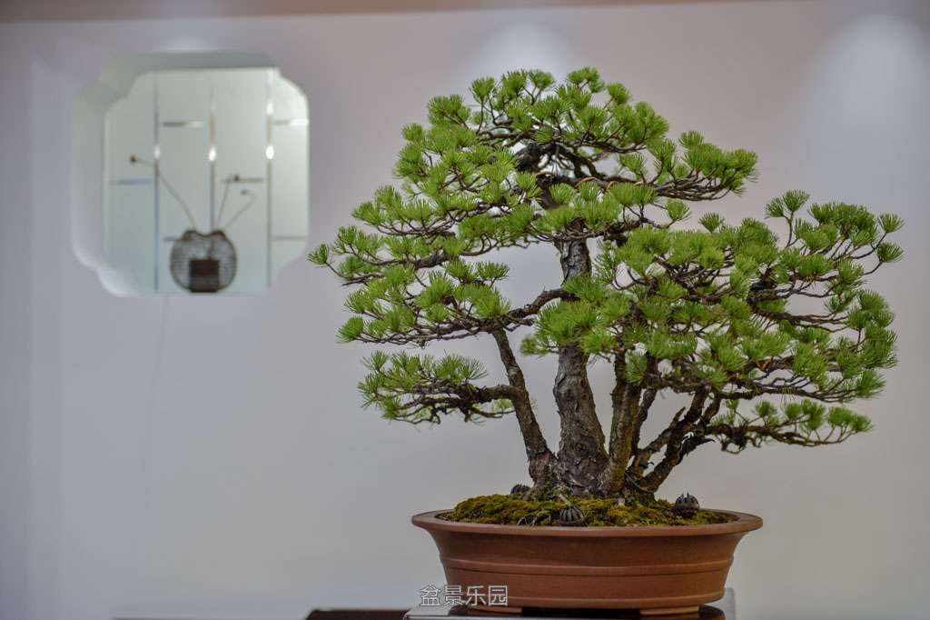 DSC_6546.jpg