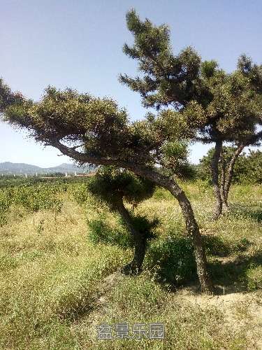 IMG20160830140241.jpg
