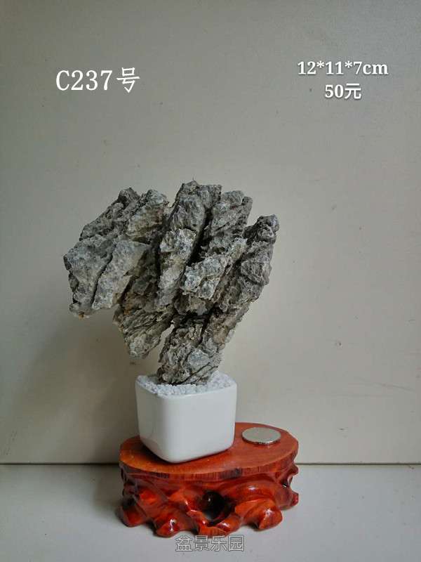 c237.jpg