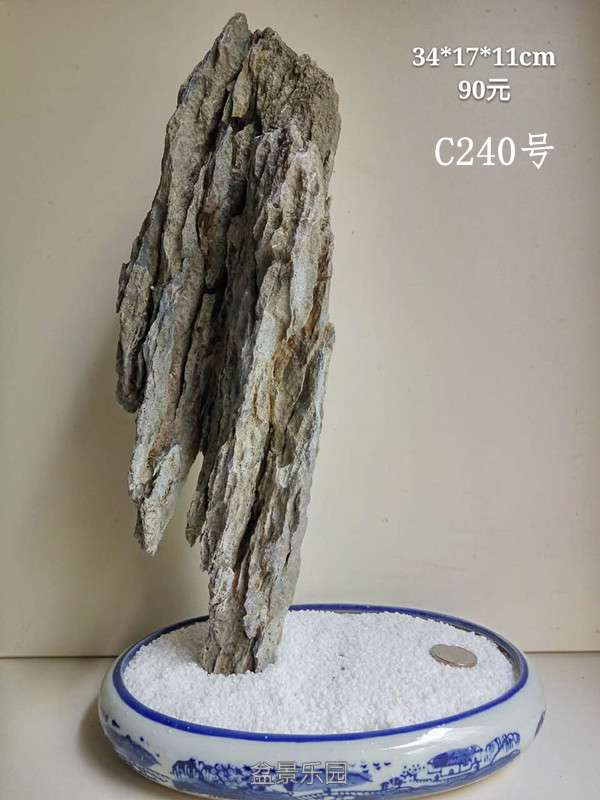 c240.jpg