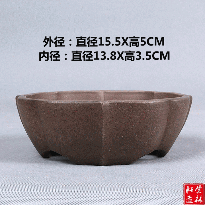 B040   ȫֹ⻨ɰ辰