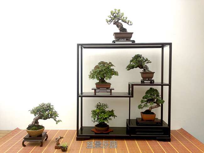 20130624292_1_.jpg