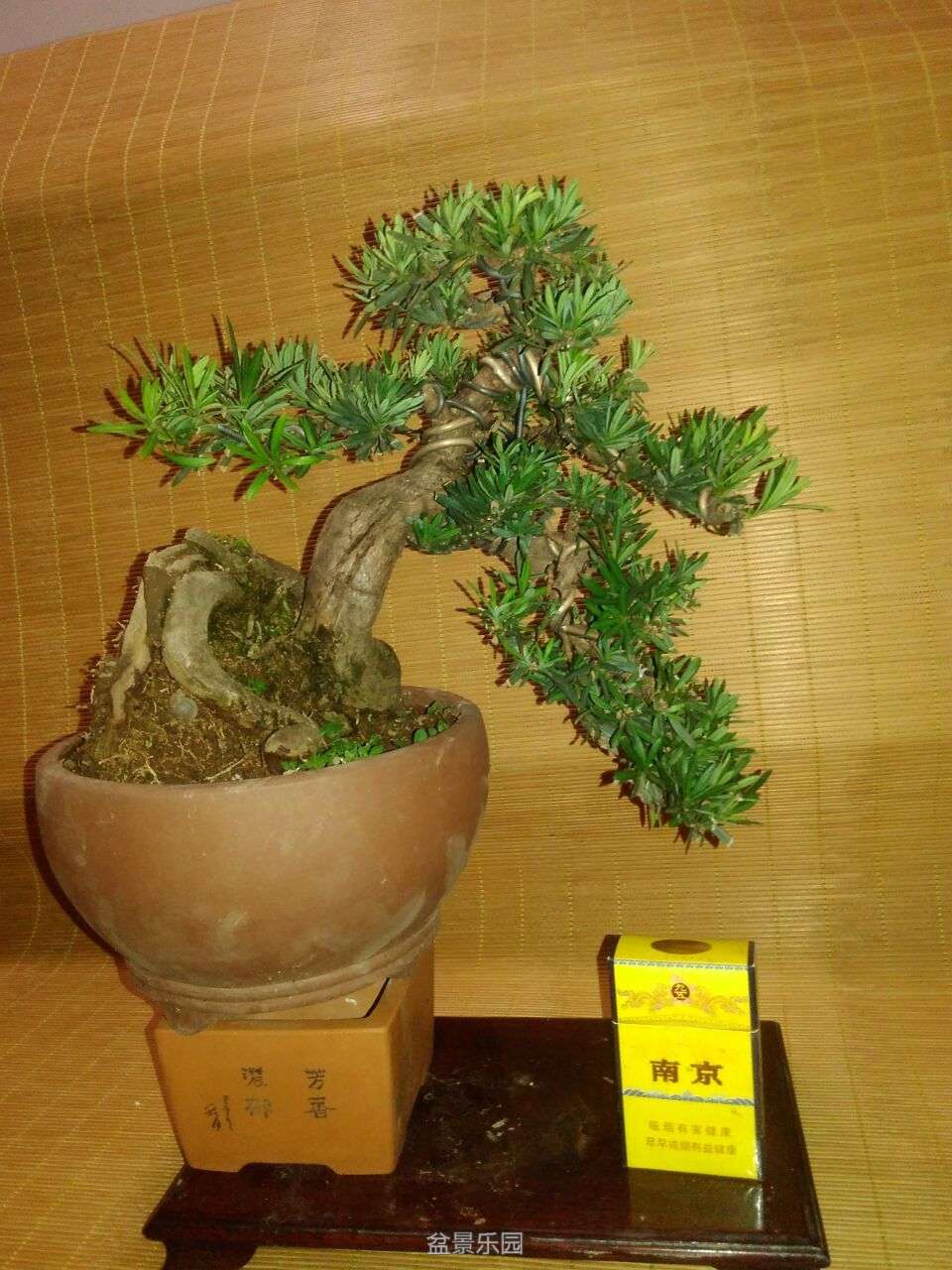 QQͼƬ20160908151445.jpg