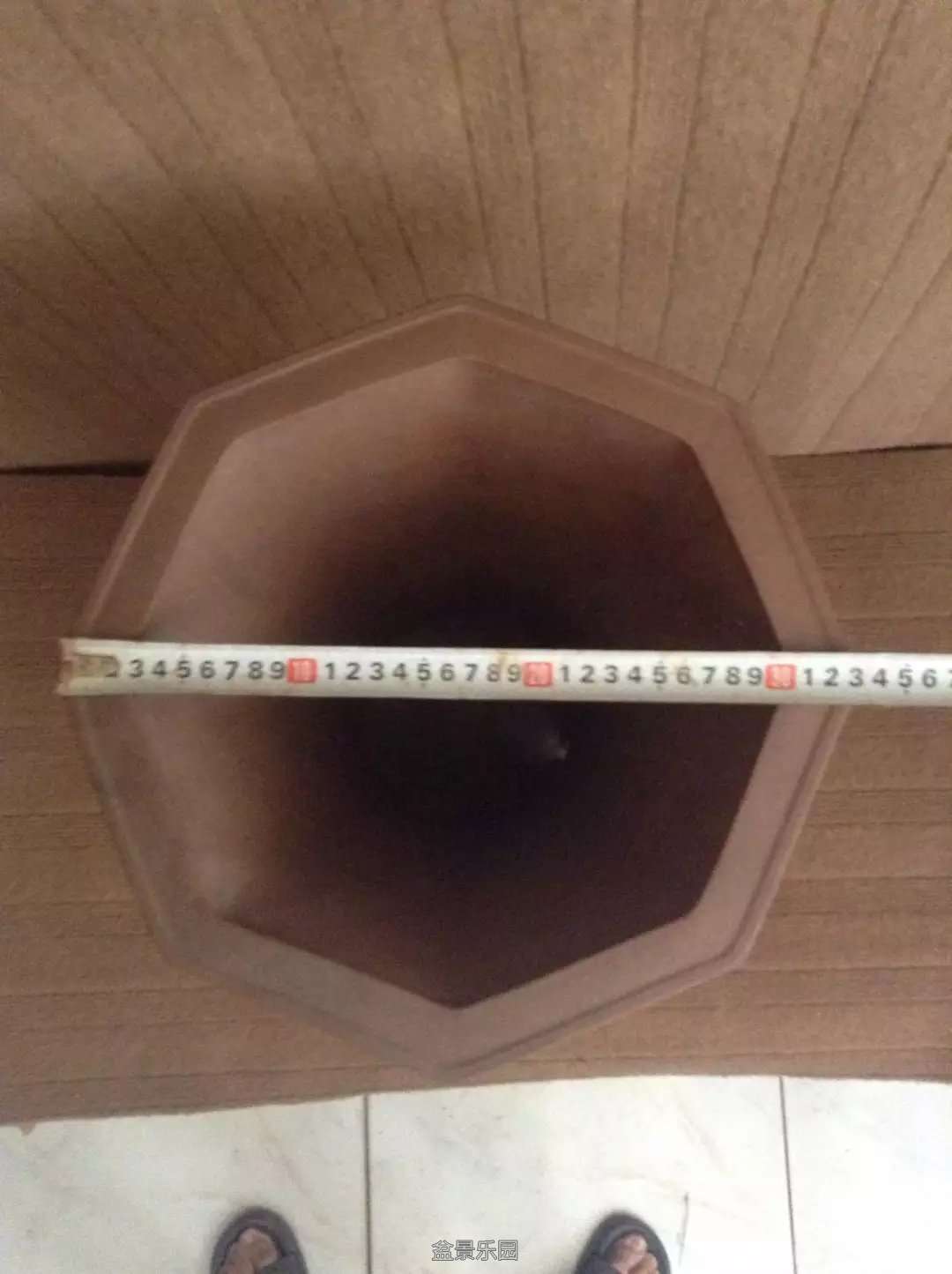 image.jpeg