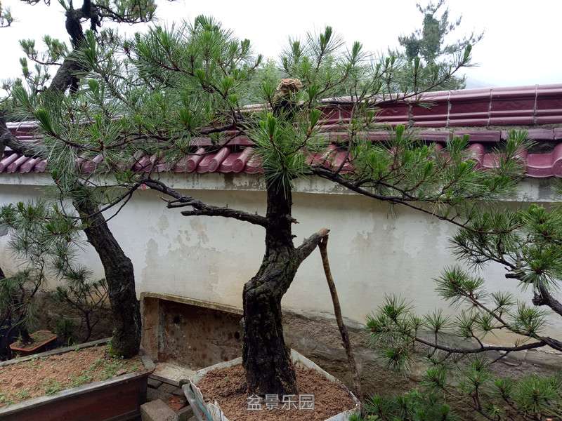 QQͼƬ20160901182812_.jpg