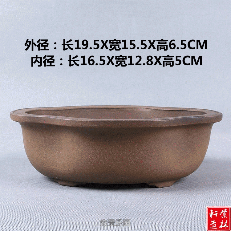 1.gif