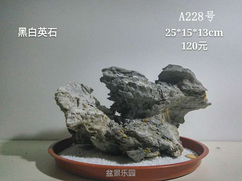 a228.jpg