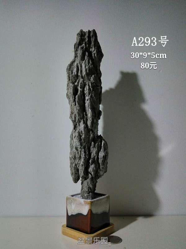 a293.jpg