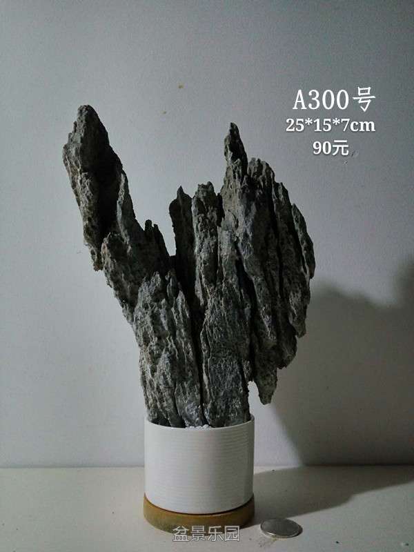 a300.jpg