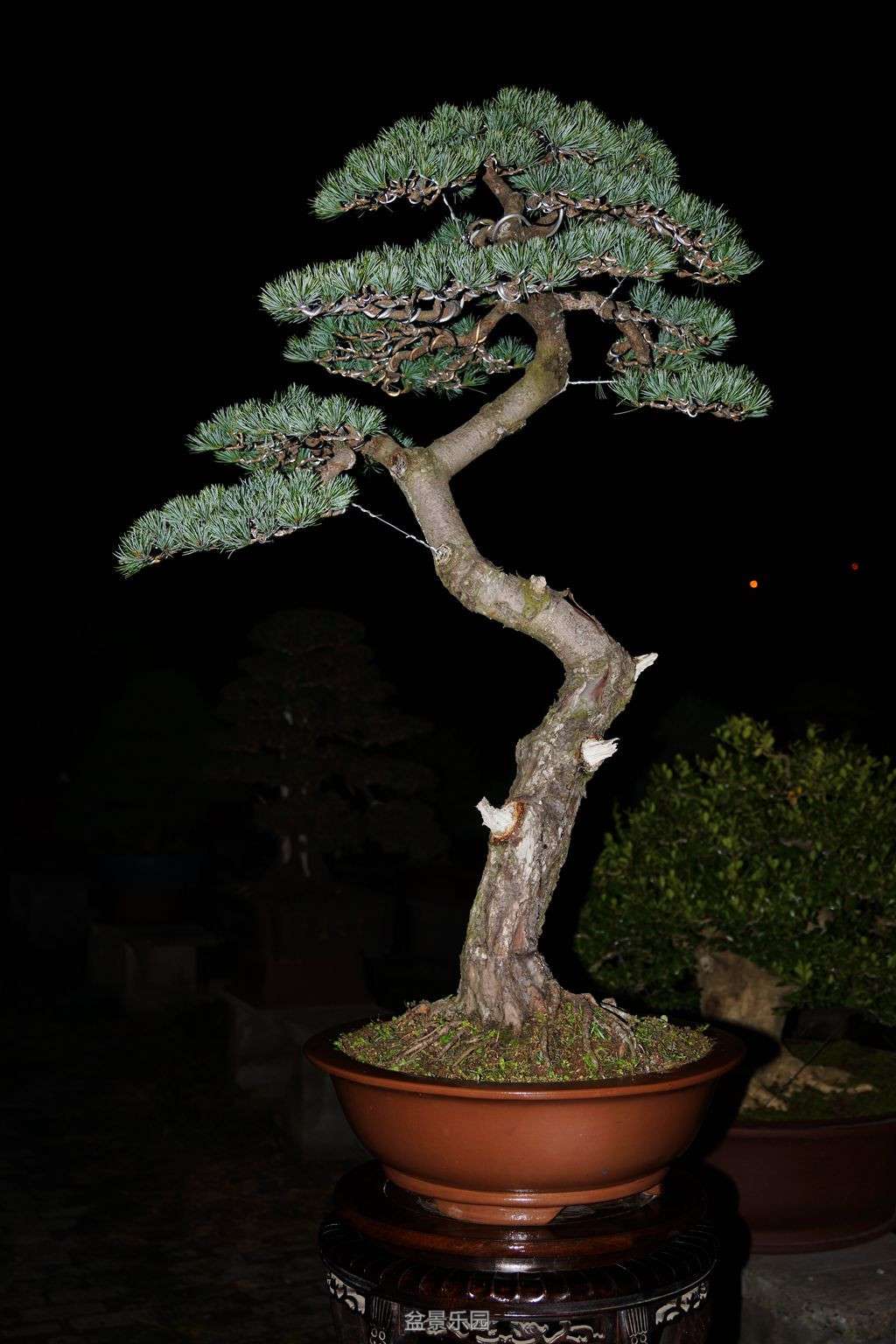 114.jpg