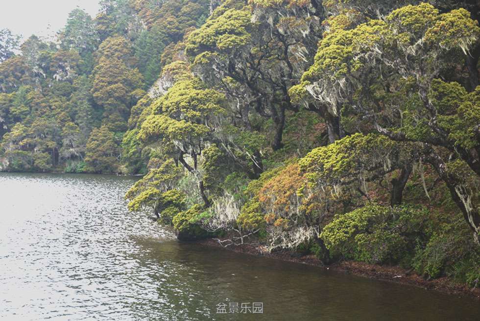 P1080262.jpg