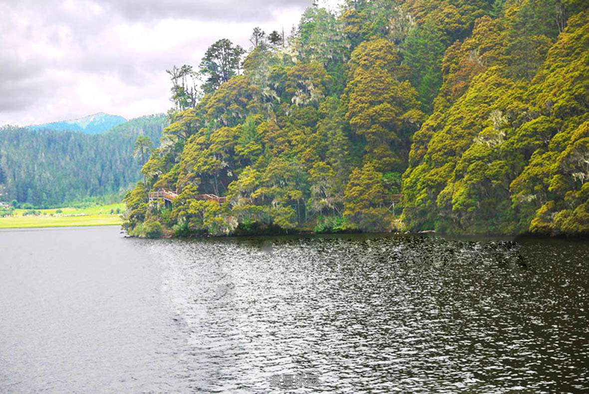P1080263 c.jpg