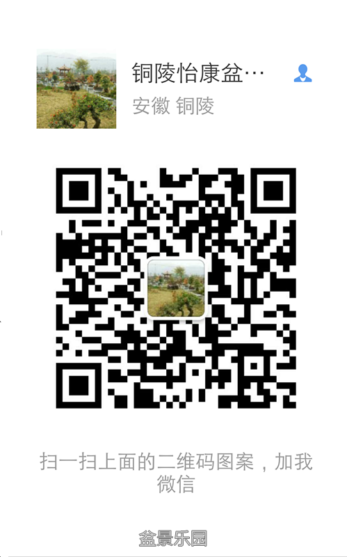 _20161003_102811.png