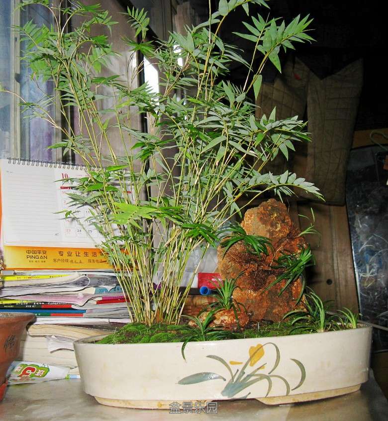 IMG_0506_conew1.jpg