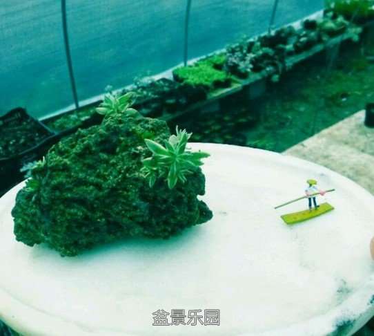 ˮʯݣѩ.jpg