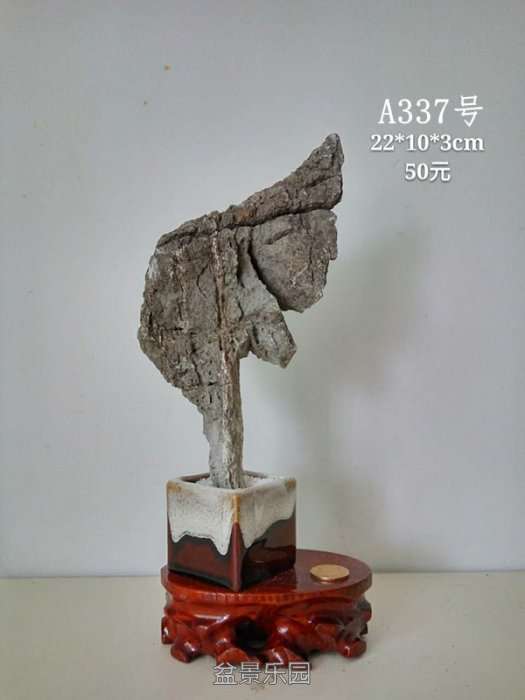 a337.jpg