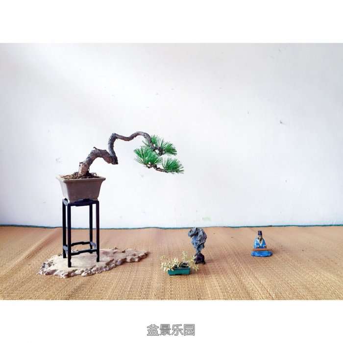 QQͼƬ20161010183150.jpg