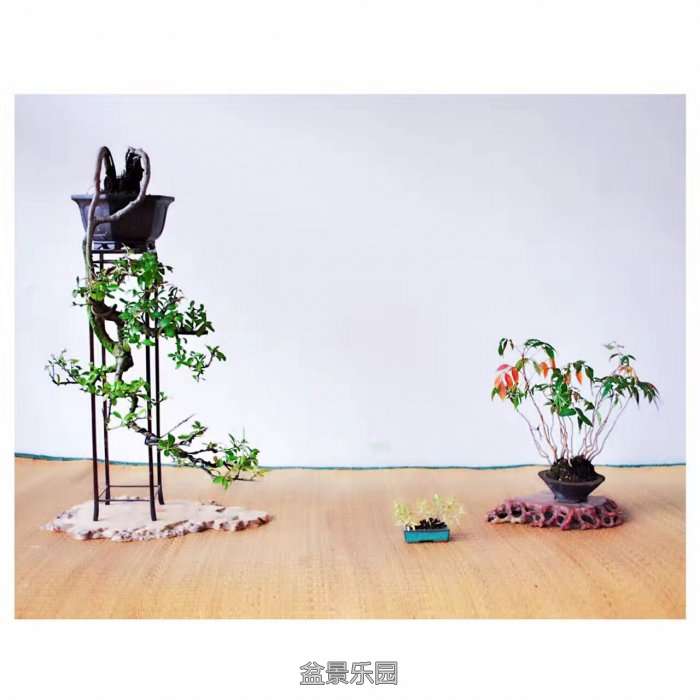 QQͼƬ20161010183154.jpg