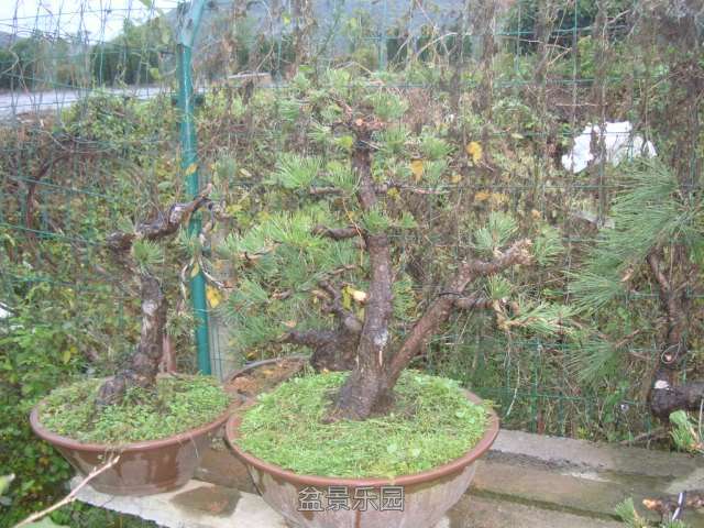 DSC06566.JPG