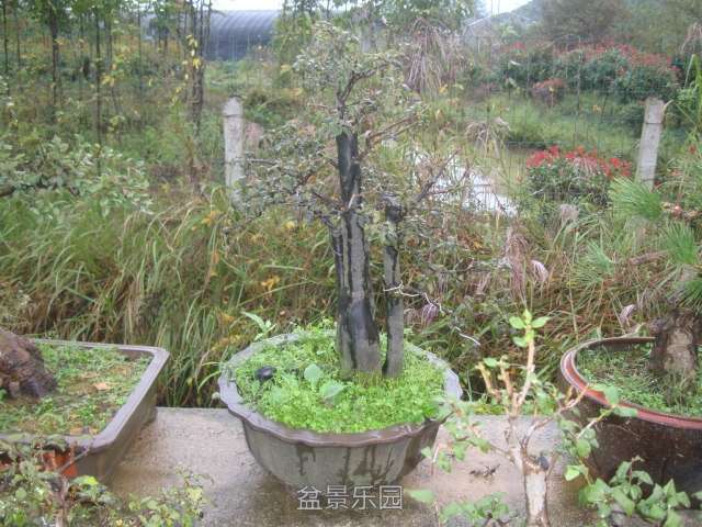 DSC06580.JPG