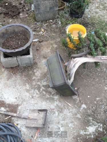 image.jpg
