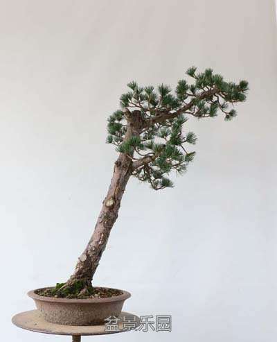 ����������06 2.jpg