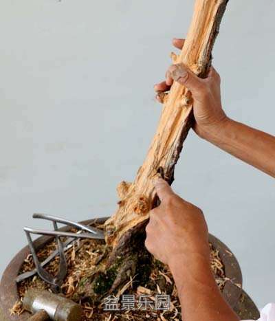 ����������07 3.jpg