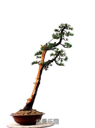 ����������09�������� 1.jpg