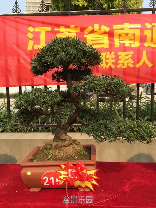 20163388 (2).JPG