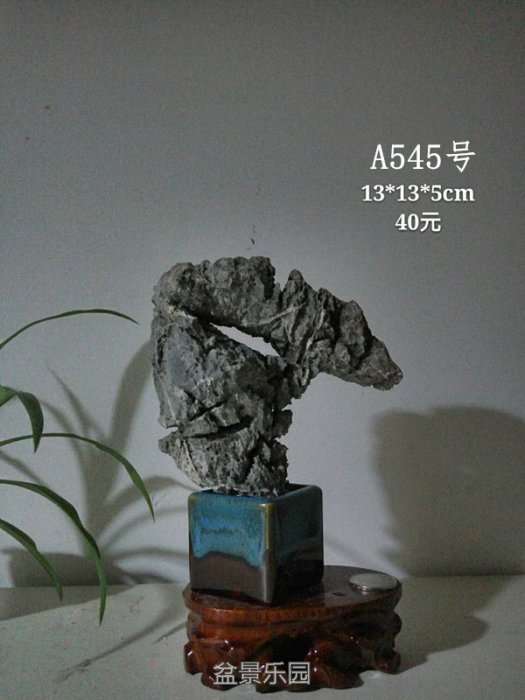 a545.jpg