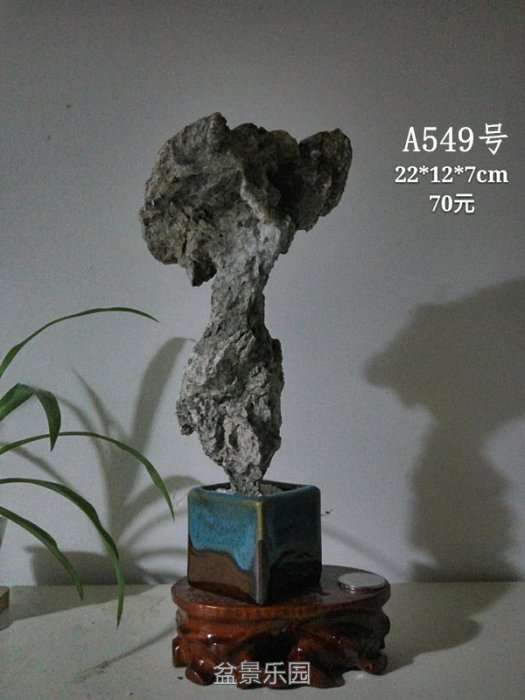 a549.jpg