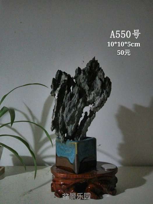 a550.jpg